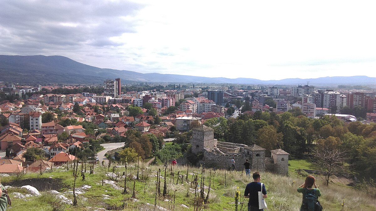 Pirot city